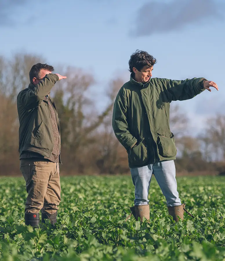 Two people inspecting farmland Two people inspecting farmland