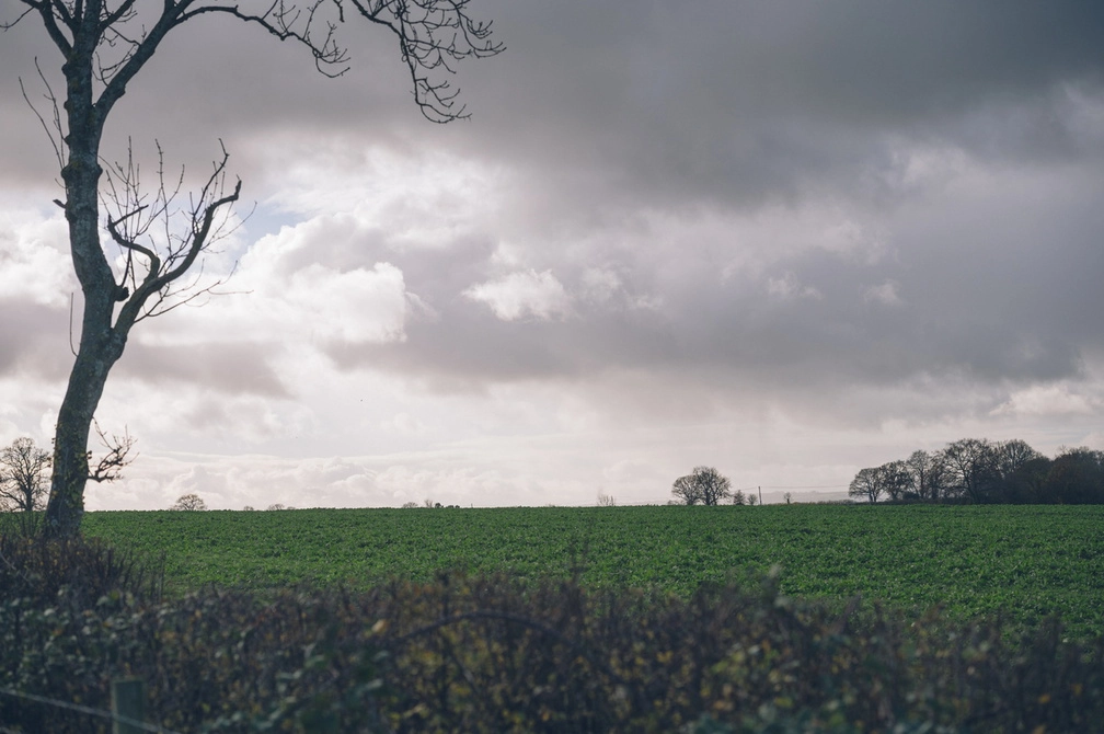 Farmland with a grey sky in the background