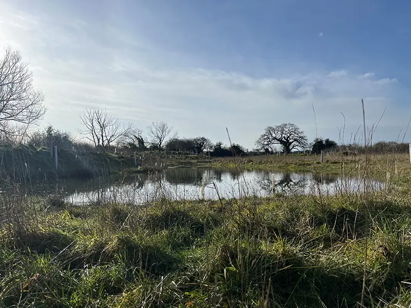 Whaddon Grange pond from ground level Whaddon Grange pond from ground level